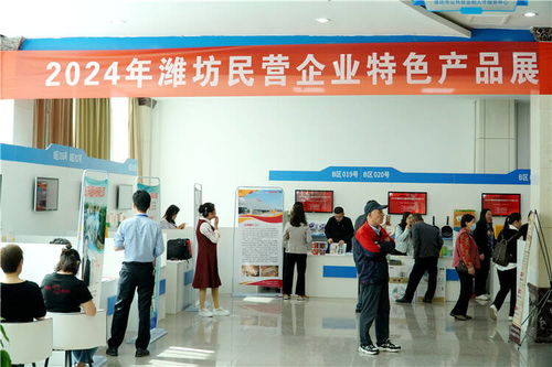 100家企業(yè)提供就業(yè)崗位2000余個(gè) 2024年濰坊市百強(qiáng)民營企業(yè)人才交流大會(huì)舉行