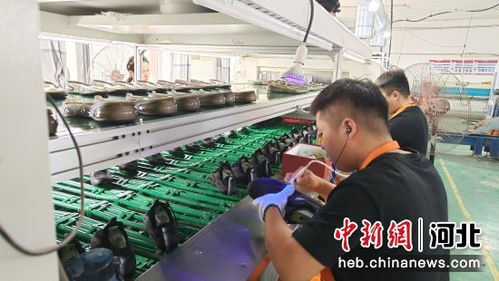 家門(mén)口的“幸福車(chē)間”——河北望都鄉(xiāng)村微工廠鋪就群眾就業(yè)新路
